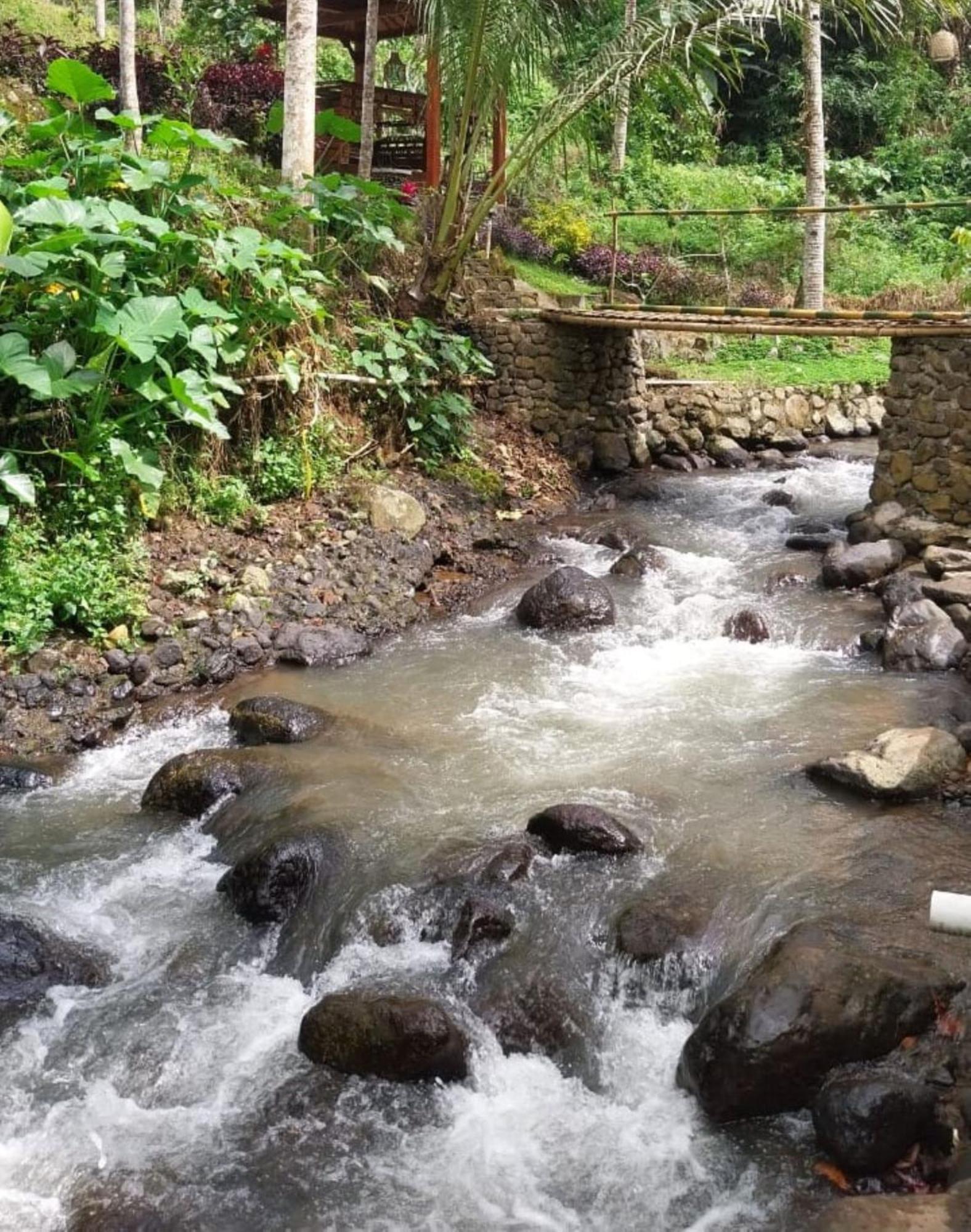 Kampoeng Joglo Ijen Villa Banyuwangi  Buitenkant foto