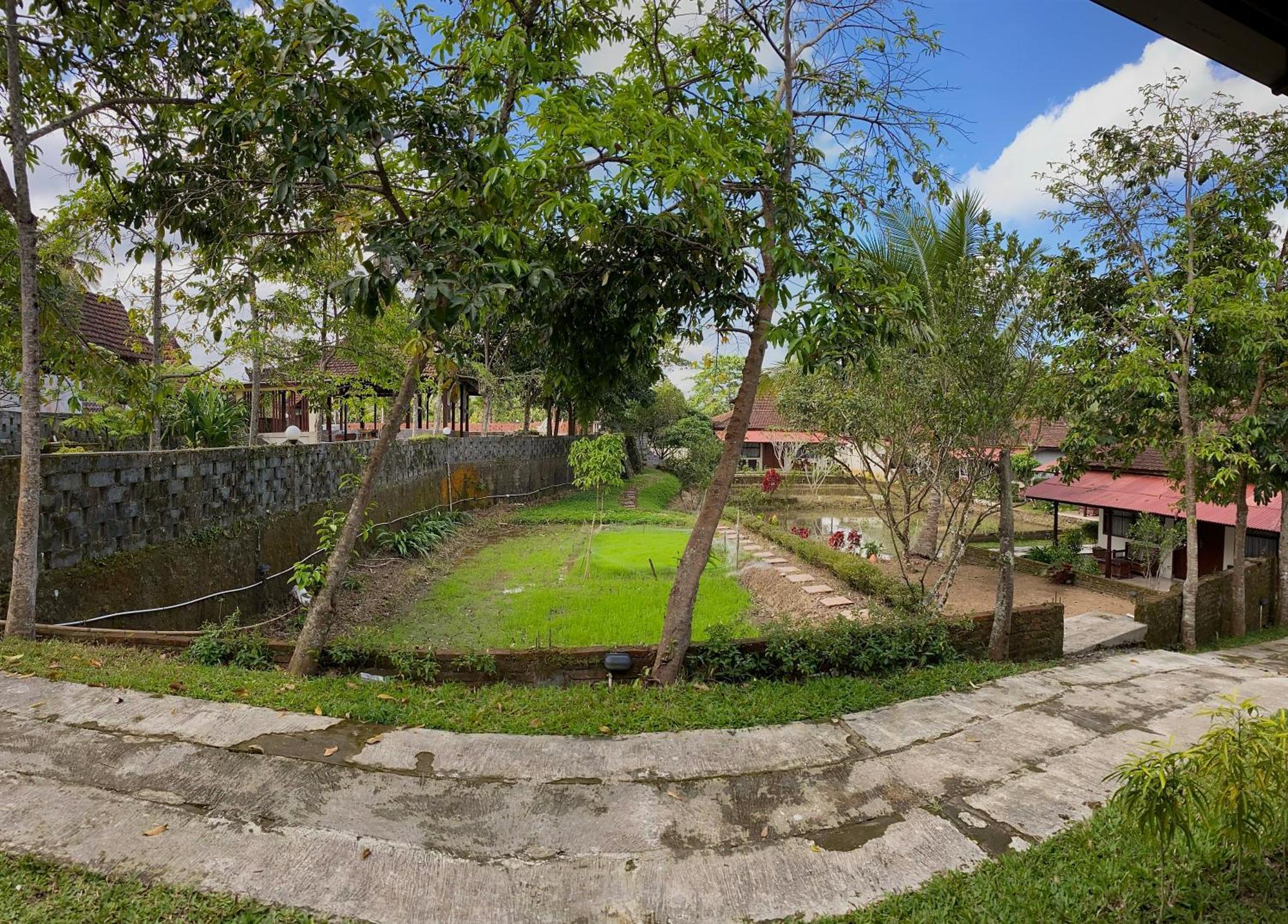Kampoeng Joglo Ijen Villa Banyuwangi  Buitenkant foto