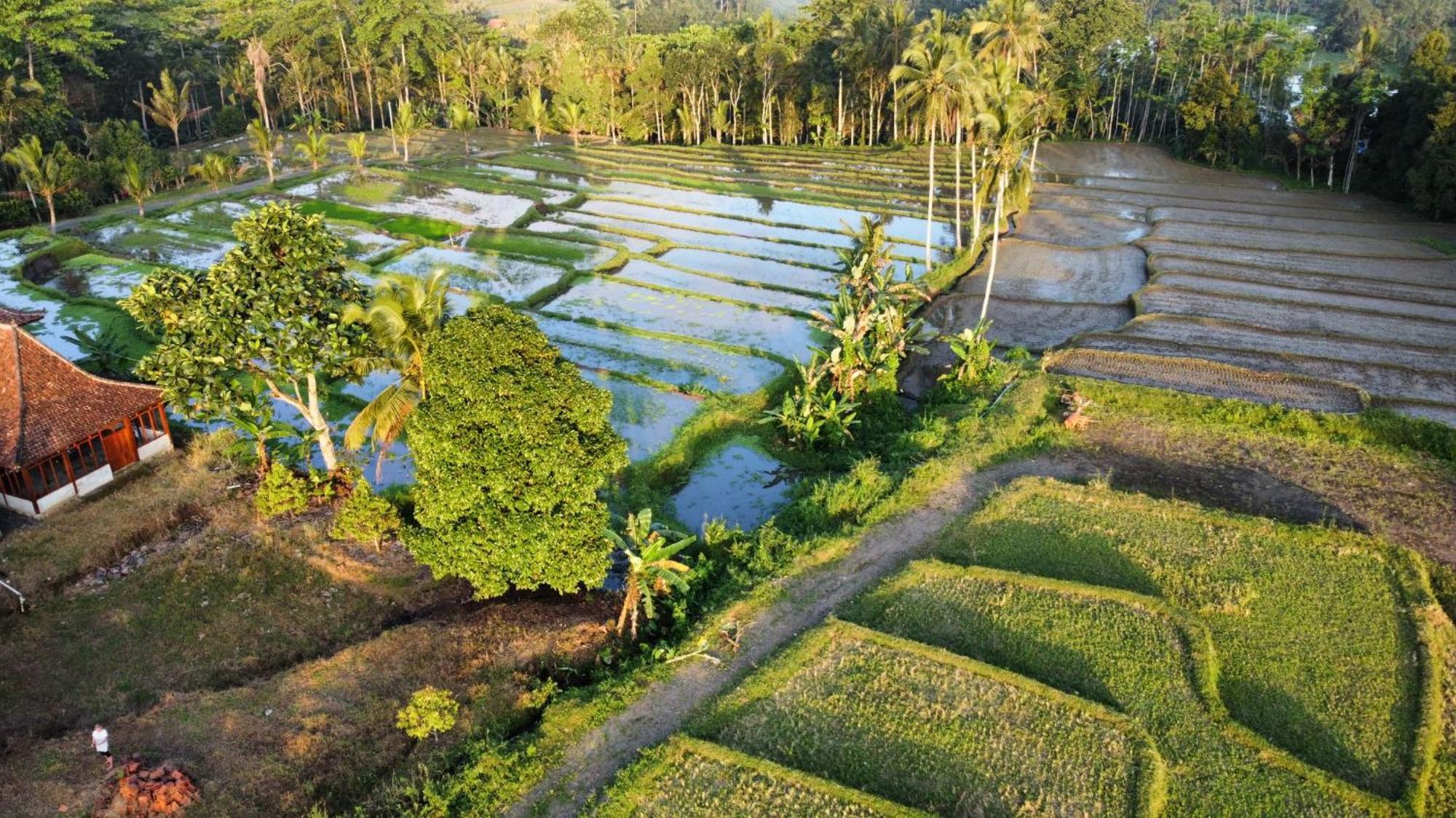 Kampoeng Joglo Ijen Villa Banyuwangi  Buitenkant foto