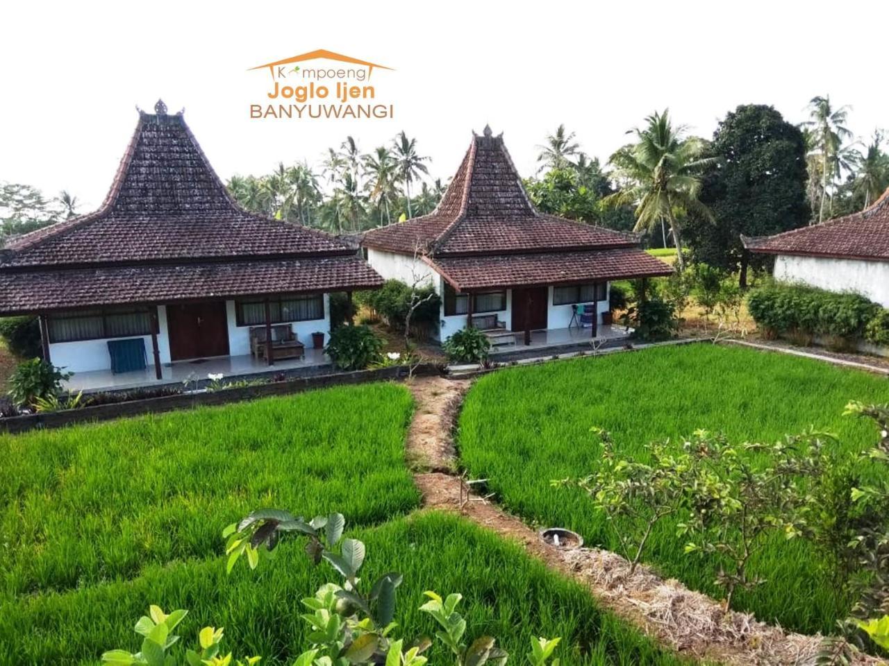 Kampoeng Joglo Ijen Villa Banyuwangi  Buitenkant foto